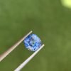 Blue Sapphire