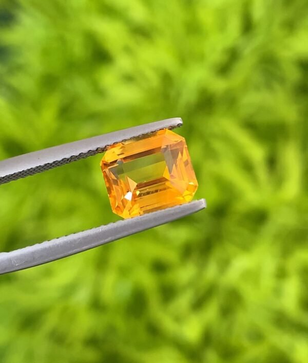 Vivid Yellow